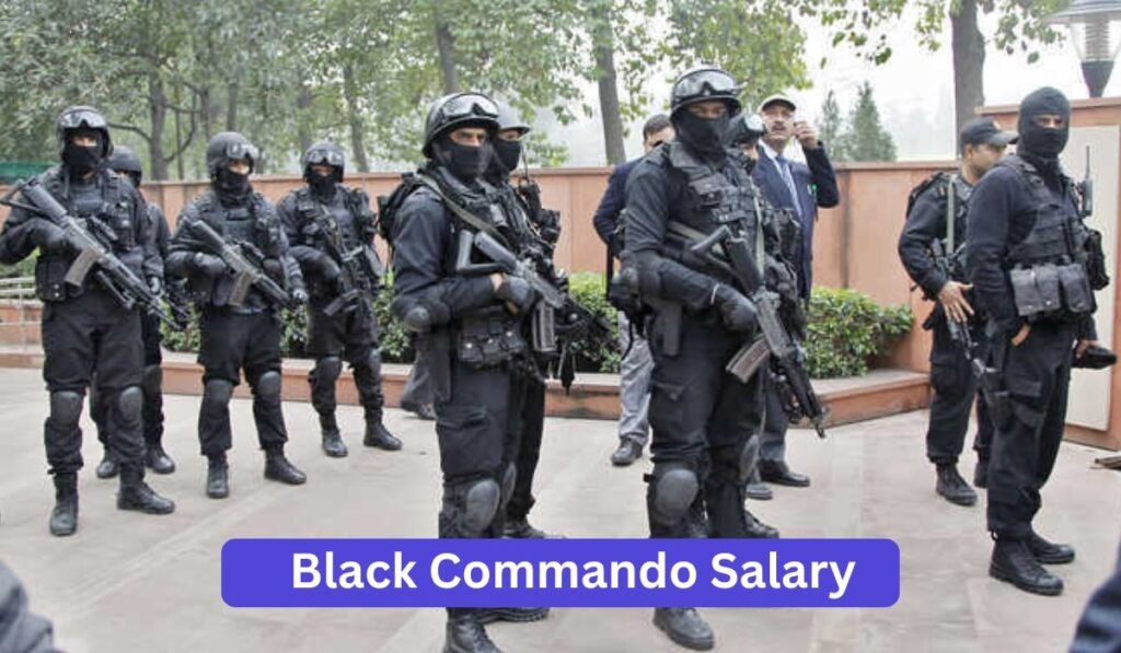 Black Commando Salary in India